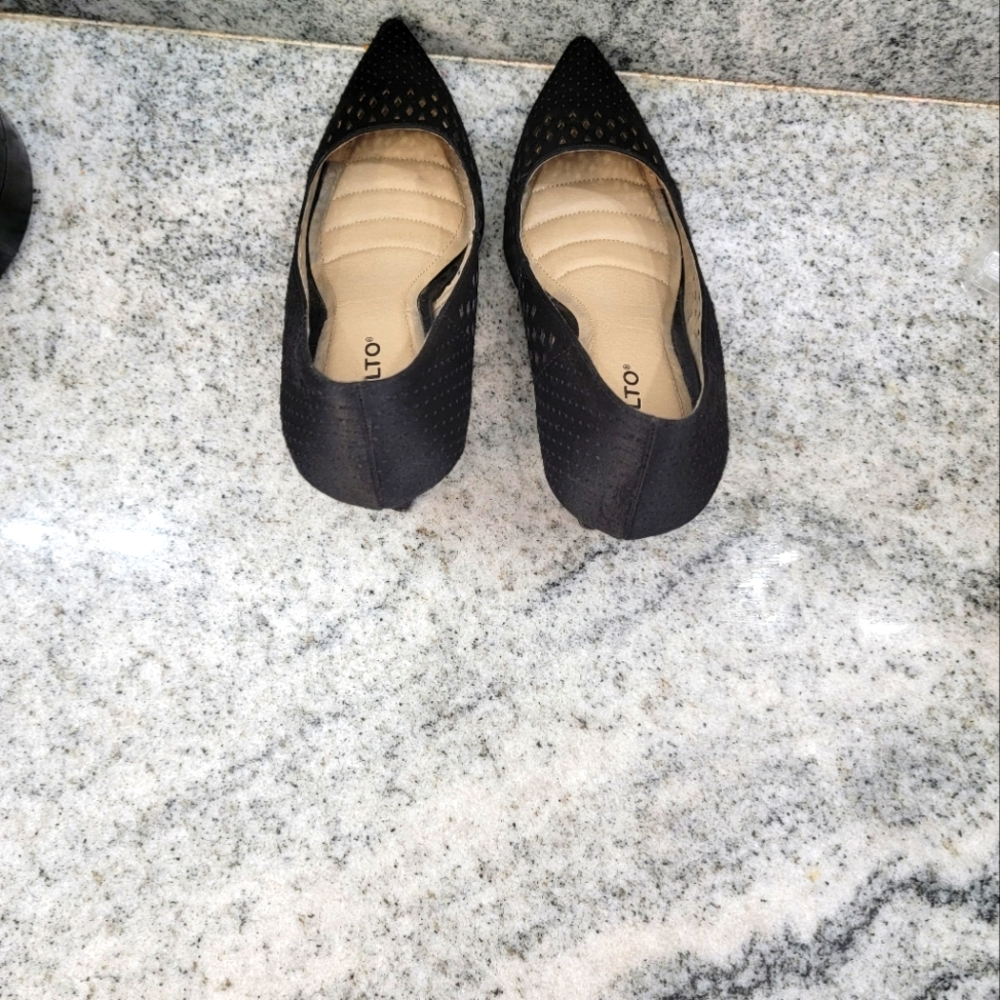 Classy Black  Pointed Toe Plum